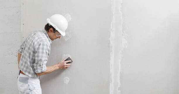 Best Drywall Removal and Disposal  in French Island, WI